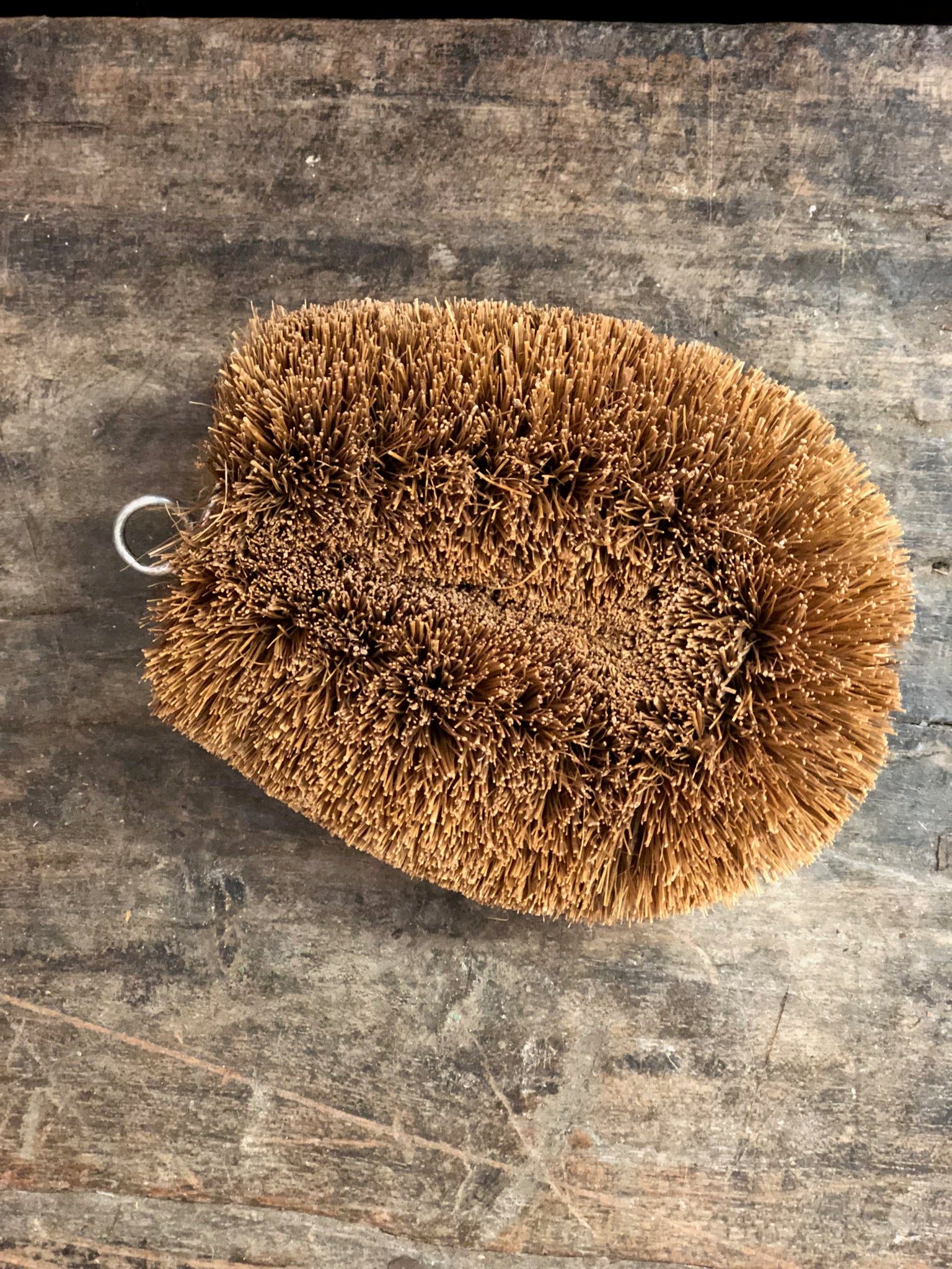 Tawashi-style Scrub Brush, Traditional 4-Inch Natural Coir Bristle -  Victory Seeds® – Victory Seed Company